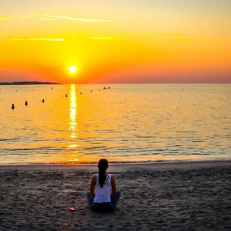 Croisette Suquet Duplex 4 P Lejlighed