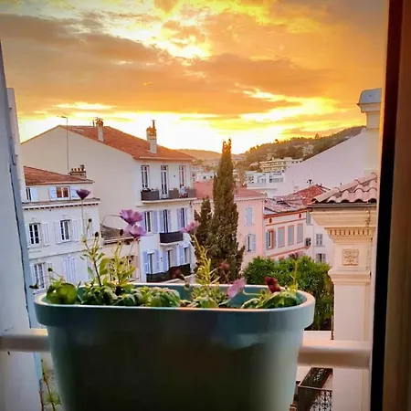 Appartement Croisette Suquet Duplex 4 P Cannes