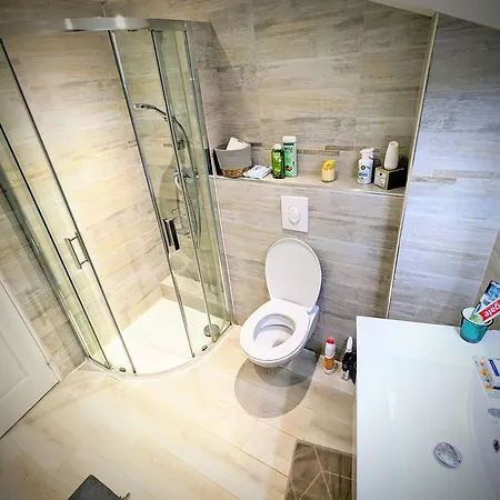 Croisette Suquet Duplex 4 P شقة